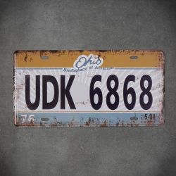 Tablica rejestracyjna z USA metalowa UDK6868