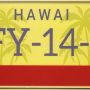 tablica rejestracyjna z usa hawai