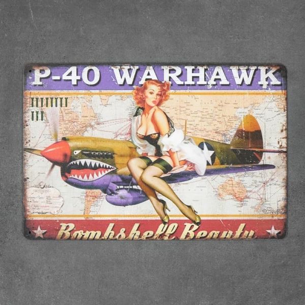 Tabliczka dekoracyjna metalowa P-40 WARHAWK