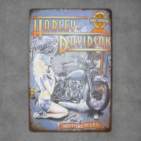 Tabliczka dekoracyjna metalowa HARLEY-DAVIDSON 3